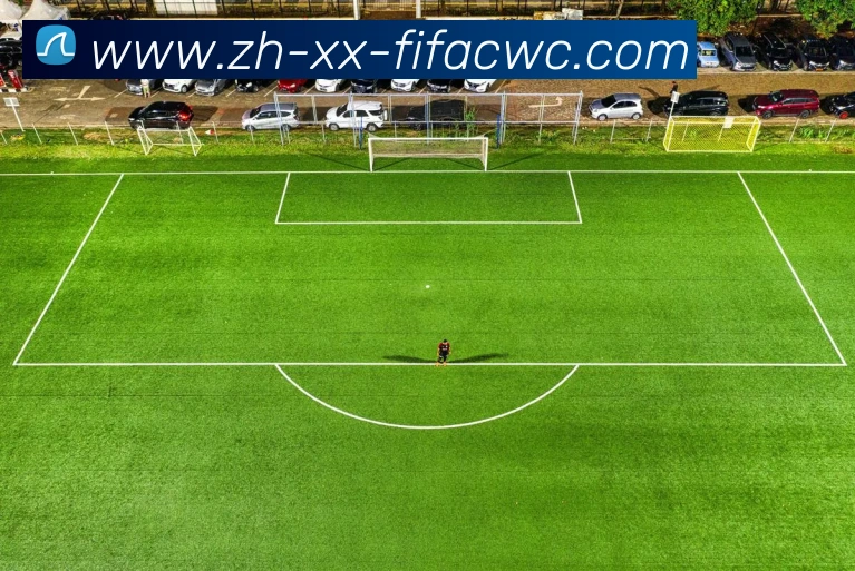 世界杯在线观看平台生态图